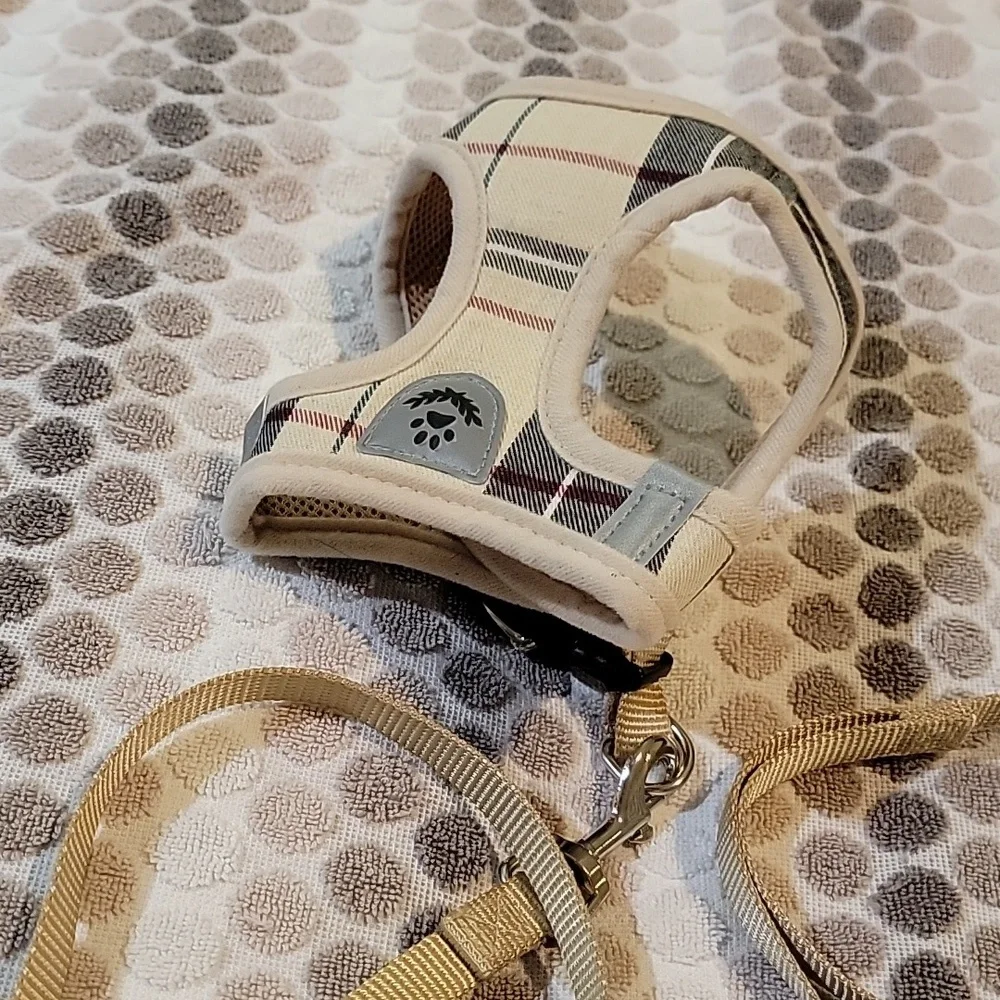 Cat leash